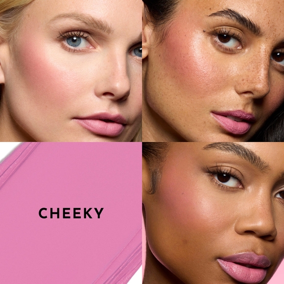 Lawless BEAUTY SET bluches & BALM sticks - Picture 12 of 14